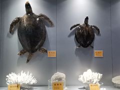 -福州罗源湾海洋世界旅游区