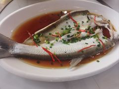 清蒸大白鱼-丹水桥地锅鱼·翘嘴鲌·地方特色全鱼宴(丹江口大坝店)