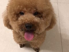 -畜牧兽医站(共江路店)