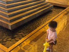 -东莞松山湖凯悦酒店