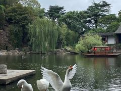 -水绘园