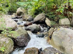 -云岫谷游猎自然风景区