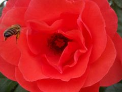 -意大利农场度假村