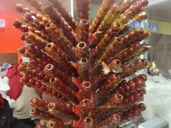 -和禄德冰糖葫芦(东四朝内菜市场店)