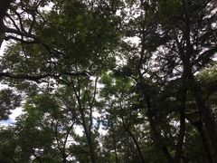 -观象山公园