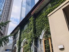 -树厨贵州菜(大十字店)