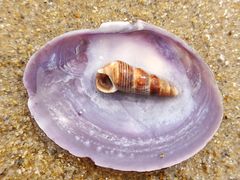 -那香海钻石沙滩浴场