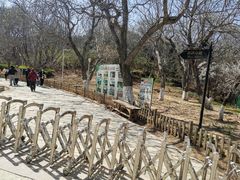 -北京张裕爱斐堡酒庄