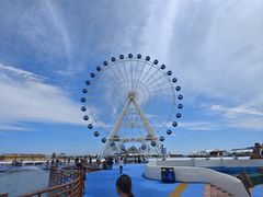 -秦皇岛乐岛海洋王国