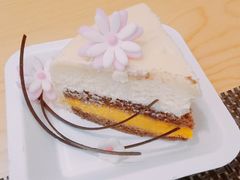 -樱の千渡日式料理·铁板烧•烧鸟(金盛田广场店)