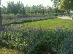 android_upload_pic-石家庄市植物园