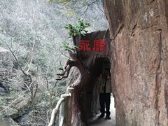 -浙北大峡谷