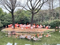 -上海野生动物园