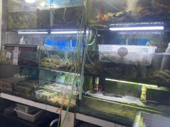 -阳江餐厅·30年老字号·粤菜海鲜大排档
