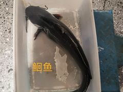 -江边城外烤全鱼(汉光百货店)