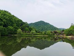 -桃花岭景区