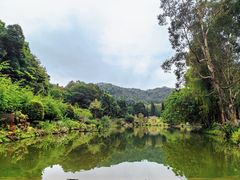 -深圳仙湖植物园