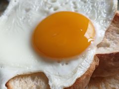 -金凤成祥(五棵松二店)