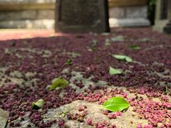 -雨花胜境