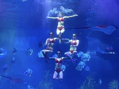 -泉城欧乐堡海洋极地世界