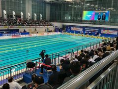-奥体中心游泳馆