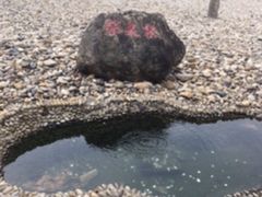 -侵华日军南京大屠杀遇难同胞纪念馆