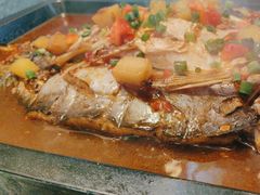 -炉鱼(爱琴海购物公园店)