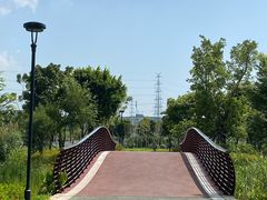 -王借岗森林公园