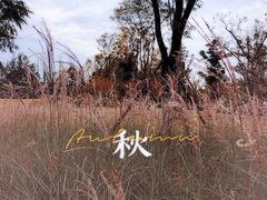 -白鹭湾湿地公园