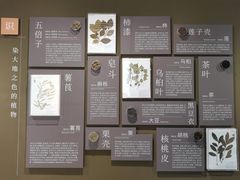 -中国湿地博物馆