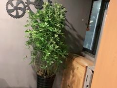 -鸽子窝(宋庄店)
