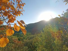 -北京西山国家森林公园