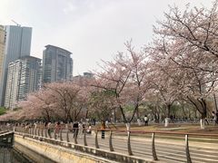 -西北湖绿化广场