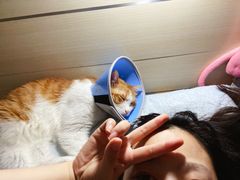 -纳吉亚猫专科动物医院博雅分院