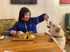 -猫小院猫主题餐厅(南锣旗舰店)
