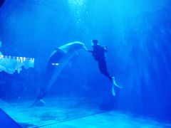 -多彩贵州城极地海洋世界