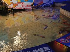 -烟台海昌鲸鲨海洋公园