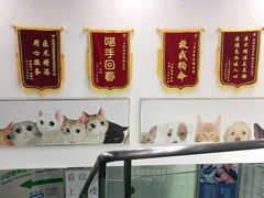 -爱侣宠医·鹦鹉专科·小型哺乳类·异宠专科(灵石路店)