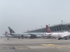 -上海浦东国际机场-T2航站楼