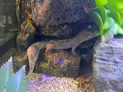 -海南热带野生动植物园