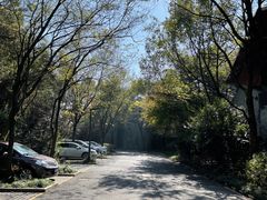 -西湖风景区-江洋畈生态公园
