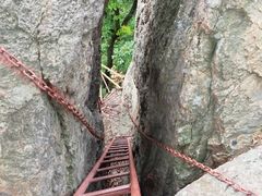 -天女山森林公园
