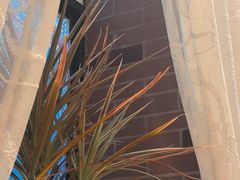 -安德烈俄式西餐厅(中央大街店)