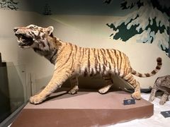 -大庆市博物馆