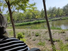 -西青郊野公园