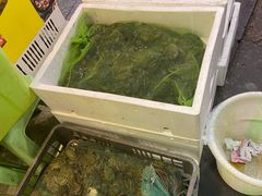 -鸿顺老铁锅美蛙鱼府(解放碑店)