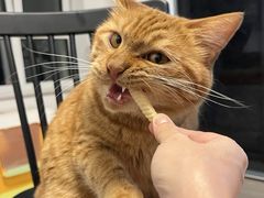 -四季餐厅·新津菜(环湖中路店)