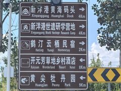 -盐城丹顶鹤湿地生态旅游区