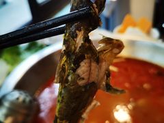 黄辣丁-王婆乔鲜鱼自助火锅(蜀汉路店)