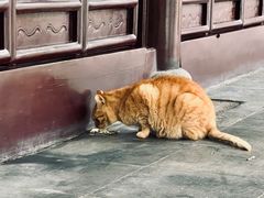 -西园戒幢律寺